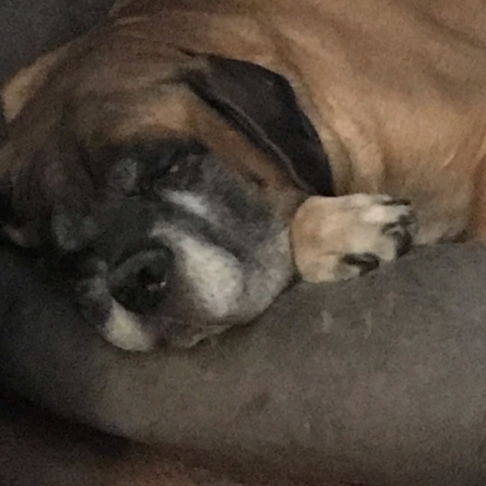 Meet your Posher, Britt